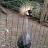 Fotografie 51 - Biopark Gymnázium Teplice