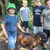Fotografie 9 - Školní výlet za zvířátky
