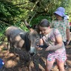 Fotografie 14 - Školní výlet za zvířátky