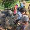 Fotografie 15 - Školní výlet za zvířátky