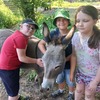 Fotografie 17 - Školní výlet za zvířátky