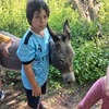 Fotografie 23 - Školní výlet za zvířátky