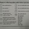 Fotografie 2 - Hmyzáci