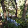 Fotografie 23 - Cvičení v přírodě