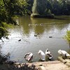 Fotografie 39 - Cvičení v přírodě