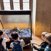 Fotografie 1 - Vlastivědná exkurze: PRVNÍ SETKÁNÍ S PRAHOU