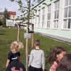 Fotografie 19 - ČINNOSTI