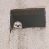 Fotografie 17 - Za terénní archeologií