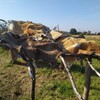 Fotografie 24 - Za terénní archeologií