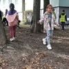 Fotografie 7 - KAŠTANY