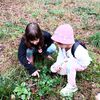 Fotografie 9 - Podzimní vycházka do obory