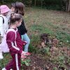 Fotografie 10 - Podzimní vycházka do obory