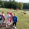 Fotografie 14 - Podzimní vycházka do obory