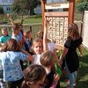 Fotografie 28 - Podzimní vycházka do obory