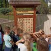 Fotografie 29 - Podzimní vycházka do obory