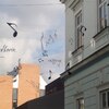 Fotografie 22 - Divadelní představení
