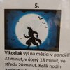 Fotografie 35 - Halloween