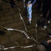 Fotografie 34 - Strašidelná stezka roudnickým zámkem