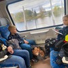 Fotografie 118 - Strašidelná stezka roudnickým zámkem