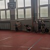 Fotografie 27 - Tělesná výchova - trenéři do škol