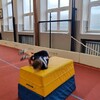 Fotografie 69 - Tělesná výchova - trenéři do škol