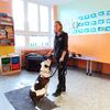 Fotografie 1 - Můj pes - můj kamarád