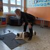 Fotografie 2 - Můj pes - můj kamarád