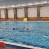 Fotografie 4 - Plavání 5