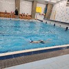 Fotografie 15 - Plavání 8, 9