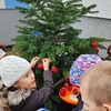 Fotografie 13 - Vyrábíme krmení pro malé opeřence