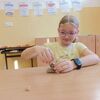 Fotografie 7 - Neživá příroda - horniny a nerosty 