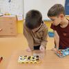 Fotografie 3 - Pěstování ve skořápkách