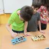 Fotografie 7 - Pěstování ve skořápkách