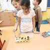 Fotografie 15 - Pěstování ve skořápkách