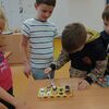 Fotografie 16 - Pěstování ve skořápkách