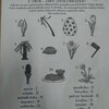 Fotografie 17 - Velikonoční úniková hra