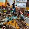 Fotografie 11 - Příroda je naše