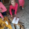 Fotografie 16 - Ekoprogram - Náš les a jeho obyvatelé