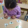 Fotografie 24 - AJ Živočichové - pexeso