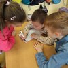 Fotografie 12 - Putování za zdravým jídlem
