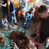 Fotografie 5 - Ekoprogram Příroda je naše