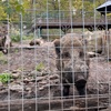 Fotografie 22 - ZOO Děčín