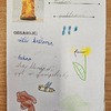 Fotografie 9 - Čarodějnice