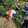 Fotografie 8 - Pěstitelské práce