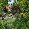 Fotografie 9 - Škola v přírodě - 7. den