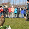 Fotografie 6 - SOVY A DRAVCI