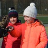 Fotografie 14 - SOVY A DRAVCI