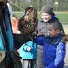 Fotografie 23 - SOVY A DRAVCI