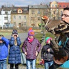 Fotografie 30 - SOVY A DRAVCI