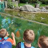 Fotografie 5 - Zoo Praha